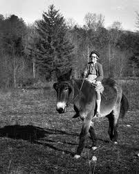 Why Foxfire Still Resonates