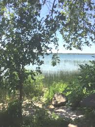 Fran woodhurst and her crew offer a wide range of interior and exterior painting and finishing solutions for both residential and commercial buildings. Plein Air Painting In Orillia Oshawa Art Association Inc