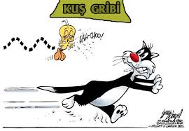 Kus Gribi Opereysin