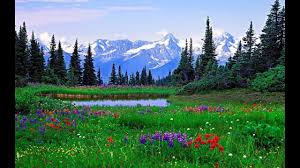 La Musique Pour Purifier Votre Maison Et Eliminer Les Energies Negatives Avec Images Musique Eliminer Aquarelle