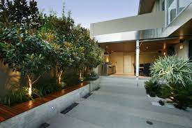 The little gem magnolia has an upright and oval rounded canopy. 11 Little Gem Magnolias Ideas Magnolia Tree Landscaping Magnolia Trees Backyard Landscaping