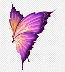 Mariposas Pintadas A Mano Dibujos Animados Mariposa Purpura Sueno Animal Mariposa Pintado A Mano Png Pngwing