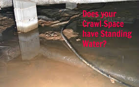 Crawl space problems and their solutions. Why Is Standing Water And Mold In My Crawl Space Atlantic Foundation Repair