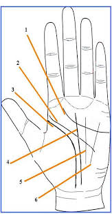 Palm Reading Hand Chart The Quick And Easy Guide To Palmistry