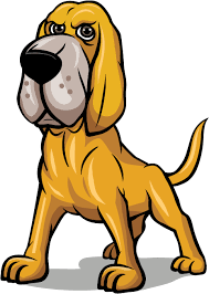 The Sleuth Kit - Cyber Triage DFIR