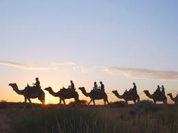 Three people dead in 'active shooting incident'. 6 Best Things To Do At Uluru From Segway Tours To Camel Rides Photos Escape Com Au