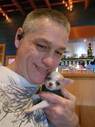 Just welcomed two chi girls to our family. Lilly and Blossom. 🌼 🌸 our  hearts are so full! Thank you for letting me join this amazing community of  Chi lovers.