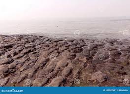 Couples Bandstand Beach Located ...
