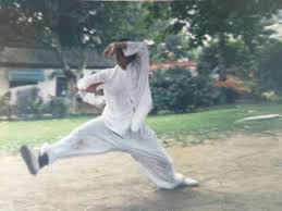 Maybe you would like to learn more about one of these? Mantis Fist Praying Mantis Kung Fu Qufu Shaolin Kung Fu School