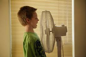 Image result for windows fan boy