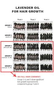 Amazing Hair Growth Results Lavender Oil For Hair Loss Before And After Photos Lavender Oil For Hair Coconut Oil Hair Hair Oil