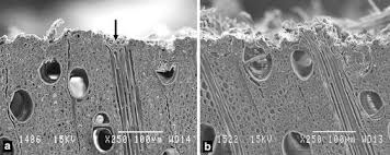 Folge deiner leidenschaft bei ebay! Effects Of Abrasive Mineral Grit Size And Feed Speed On The Quality Of Sanded Surfaces Of Sugar Maple Wood Springerlink