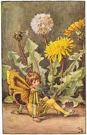 Illustration For The Dandelion Fairy From Flower Fairies Of The Spring A Boy Fairy Sits Beside A Dandelion Flower Cice Arte De Hadas Hadas Hadas Hermosas