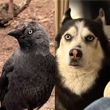 Someone...call an exorcist..😬