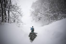 The larger ones comprise of rocks contrary to belief, these snow slides are not random events that occur without any warning signs. Avalanche Warnings Aired After Heavy Snowfall In Switzerland Washington Times