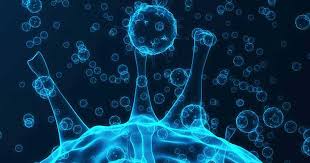 Coronaviruses are a group of related rna viruses that cause diseases in mammals and birds. Coronavirus Symptoms Diagnosis Treatment Familydoctor Org