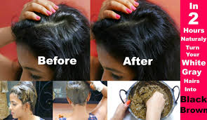 Keep repeating the process of henna application until hair is thickly coated with the henna paste. In 2 Hours Turn Grey White Hairs To Black Brown Naturally How To Apply Henna Mehendi On Hair Grey White Hair White Hair Treatment Grey Hair Treatment