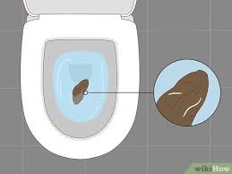 Worm in toilet after bowel movement. 6 Ways To Know If You Have Worms Wikihow