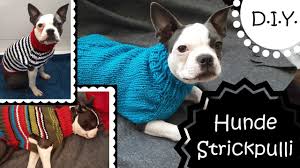 In dieser kostenlosen anleitung für anfänger zeigen wir, wie sie einen hundepullover stricken. D I Y Strickpulli Fur Hunde Do It Youself Anleitung Youtube