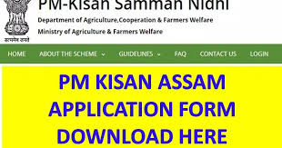 Pm kisan offline form download. Download Pm Kisan Application Form Pdf Assam Pm Kisan Yojana Registration Assamgovtsakari Com Latest Assam Career Job News In Guwahati Assam And Ne India