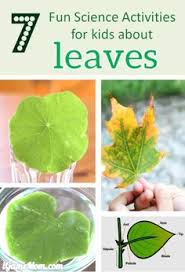 So here are some fun ways to educate the children one student starts by asking another student a random question. 77 Plant Activities For Kids Ideas Plant Activities Plant Science Activities For Kids