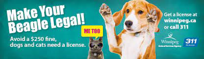 You must provide a copy of a valid rabies certificate to apply for or to renew an animal license. Pet Licenses Animal Services Agency City Of Winnipeg