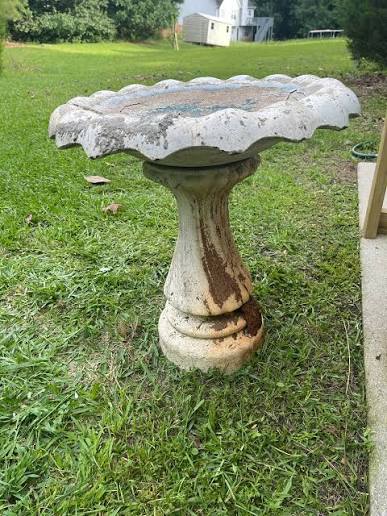 Bird bath