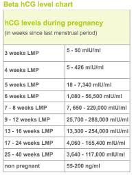 Prototypal Beta Hcg Blood Test Levels Beta Hormone Pregnancy