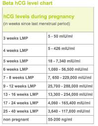 prototypal beta hcg blood test levels beta hormone pregnancy