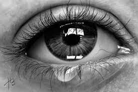 We did not find results for: True Remorse Psychology Today