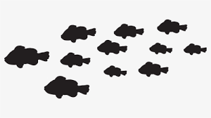 Fish Silhouette Png Images Free Transparent Fish Silhouette Download Kindpng Download transparent silhouette man png for free on pngkey.com. fish silhouette png images free