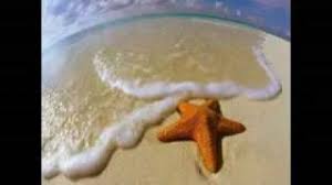 Spiagge, immense ed assolate, spiagge già vissute, amate poi perdute, in questa azzurrità, fra le conchiglie e il sale, quanta la gente che. Renato Zero Spiagge Flv Youtube