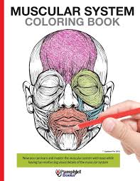 When you finish, select different colors for each organ system and color them in. Amazon Com Muscular System Coloring Book With Colored Illustrations Like What You See On The Back Page 9781535217309 Books Pamphlet Books
