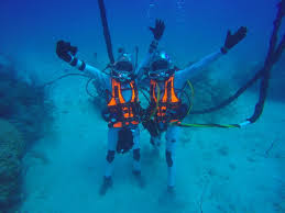 The Latest 10 Day Nasa Aquanaut Expedition Wrapped Up This Week Off The Coast Of Florida Dubbed Neemo The Nasa Space Images Love And Light Space Exploration