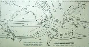 Image result for Cleistachne