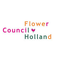 Holland beauty, a leading wholesale flower bulbs supplier company since 1975. Flower Council Of Holland Linkedin