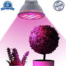 4.4 out of 5 stars. Essential Choice Limited Supply Industrial Grade Led Grow Light Full Spectrum Hydroponic Light Bulb High Luminosity Low Power Consumption Plant Grow Lights Greenhouse Garden Indoor Growing Kush And Kind