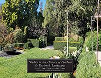 Image result for Argyrolobium macrophyllum