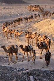After looking over the situation the priest figures neither one of them will survive the rest of the journey. Amian Amian21155 Profile Pinterest