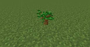 Dark Oak – Minecraft Wiki
