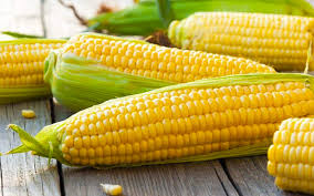 Maybe you would like to learn more about one of these? Tip Rebus Jagung Tak Kecut Dan Rasa Manis Kekal Free Malaysia Today Fmt