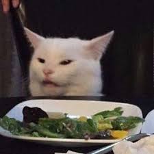 Smudge Table Cat On Instagram If You Re Going To Post My Face On The Internet At Least Tag Me Sassy Sassycat Catme Cute Memes Animal Memes Cat Memes