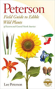 There are a lot of poisonous plants look for a fuzzy groundcover with tiny white flowers and oval shaped leaves that grow in opposite directions. Edible Wild Plants Eastern Central North America Peterson Field Guides Peterson Lee Allen Peterson Roger Tory Peterson Roger Tory Peterson Lee Allen 8580001043999 Amazon Com Books