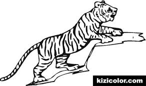 Tigre blanco ebook online epub. Libro De Colorear Con Tigre 422 Dibujos Para Colorear Y Imprimir Gratis Para Ninos