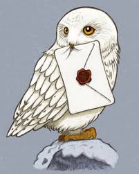 Hedwig2 Jpg 1000 1250 Disegni Di Harry Potter Umorismo Su Harry Potter Gufo Di Harry Potter
