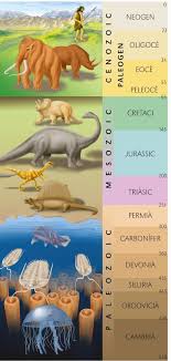 Il Lustraciencia Albert Martinez Rius Taula Del Temps Geologic Ciencias De La Tierra Origen De La Tierra Geologia