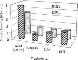 This company currently has approximately 10 to 20 employees and annual sales of $1,000,000 to $4,999,999. Effect Of Bacteria Isolates In Powdery Mildew Control In Flowering Dogwoods Cornus Florida L Sciencedirect
