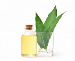 Ingin jadi seorang orang yang pandai komputer. Gaji Juru Parkir Pesawat Rp600 Juta Tahun Tugasnya Berat