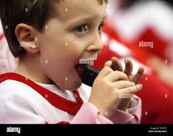 Detroit red wings fan hi-res stock photography and images
