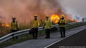 La exposición de los seres vivos a un incendio puede producir daños muy graves hasta la muerte. Pantanal El Otro Incendio Que Azota A Brasil Ecologia Dw 10 11 2019